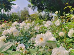 -人民公园(罗湖区)