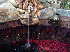 玫瑰花池-余姚阳明温泉山庄