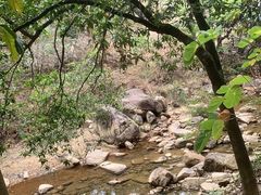 -广州白江湖森林公园