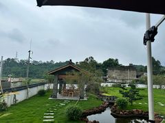 -马村鱼头