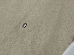 -海晖酒楼·顺德鱼生(荣华店)