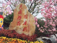 -天适樱花悠乐园
