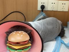 -联合动物医院(光谷诊疗中心)