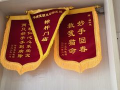 -宠颐生动物医院·猫科·心脏科(海口分院)