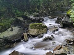-鹿院坪生态旅游景区