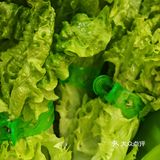 涮涮乐，幸福感up↑