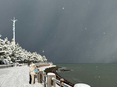 -悦海公园