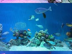 -上海海昌海洋公园