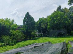 -野蔓果·山野菜(西湖景区·龙井茶田店)