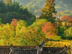 -塔川景区
