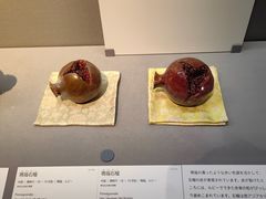 -东京国立博物馆