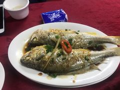 清蒸黄花鱼-蛇口康乐快餐鱼仔档(翠苑小区店)
