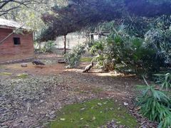 -镇江市南山风景名胜区竹林景区