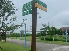 -芒洲湿地公园