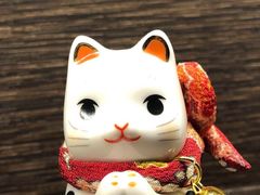 -云水瑶汤泉·餐厅