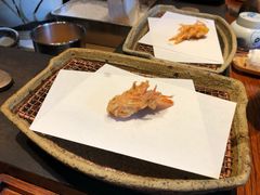 -是山居