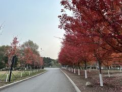 -沈阳森林动物园