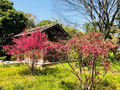 -福建鲤鱼洲酒店