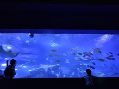 -重庆欢乐海底世界