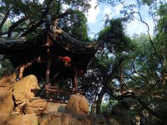 -绮园景区