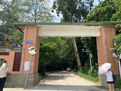 -火炉山森林公园