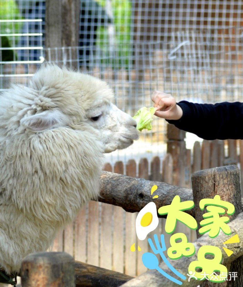 不可错过的亲子游乐