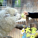 不可错过的亲子游乐