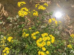 -宁波浙东大竹海景区