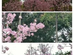 -文华公园(禅城区)