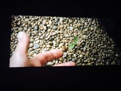 -新影联鸿泰影城