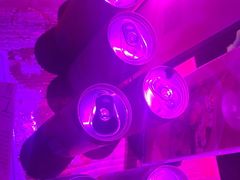 -胡桃里乐队酒馆(广州塔店)