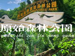 -西双版纳原始森林公园