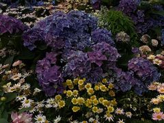 -武汉园博园(武汉自然博物馆)