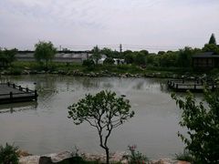 -鹅湖玫瑰文化园