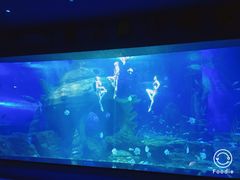 -多彩贵州城极地海洋世界