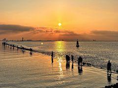 -上海吴淞炮台湾国家湿地公园