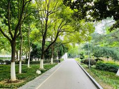 -后襄河公园
