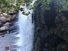 -汤旺河林海奇石景区
