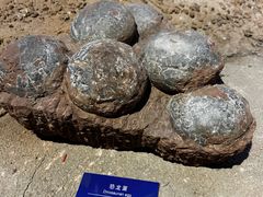-大庆石油科技馆