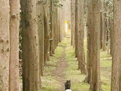 -前小桔亲子创意农场·草莓采摘·露营烧烤