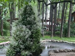 -林间山庄
