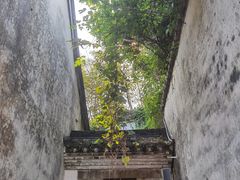 -宁波市保国寺古建筑博物馆