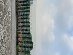 -立新湖公园