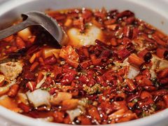 黑豆花水煮鱼-舞辣辣·川菜·黑豆花水煮鱼(卓悦汇店)