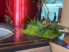 -老板恋上鱼(恒隆广场店)