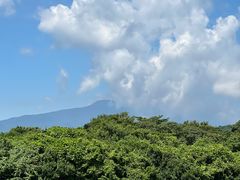 -济州森林小火车生态公园
