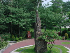景点-王借岗森林公园