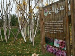 -怀来官厅水库