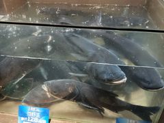 -上名堂·鱼头好吃(体育场路店)