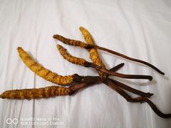 -孟屯河谷景区